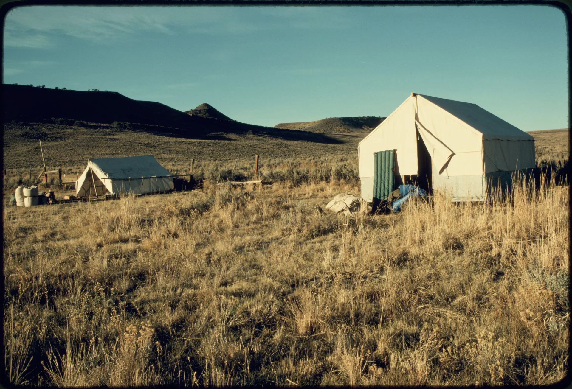 camping tents in a field